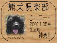 �I�[�i�[�́Alozy����ł���